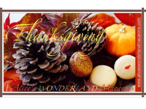 thanksgiving-macarons